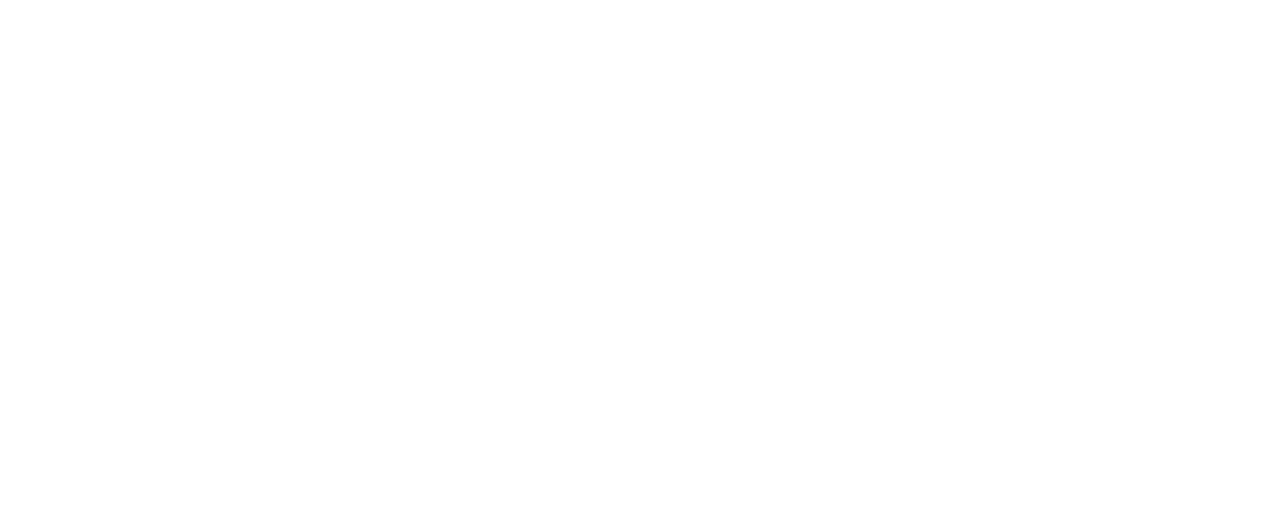 NHCE 25 white
